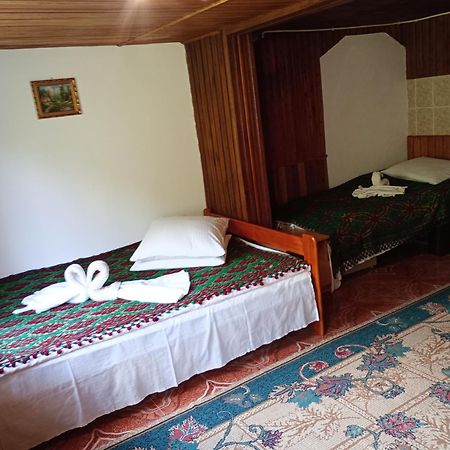 Pensiunea Irina 3 Zărneşti Exterior foto