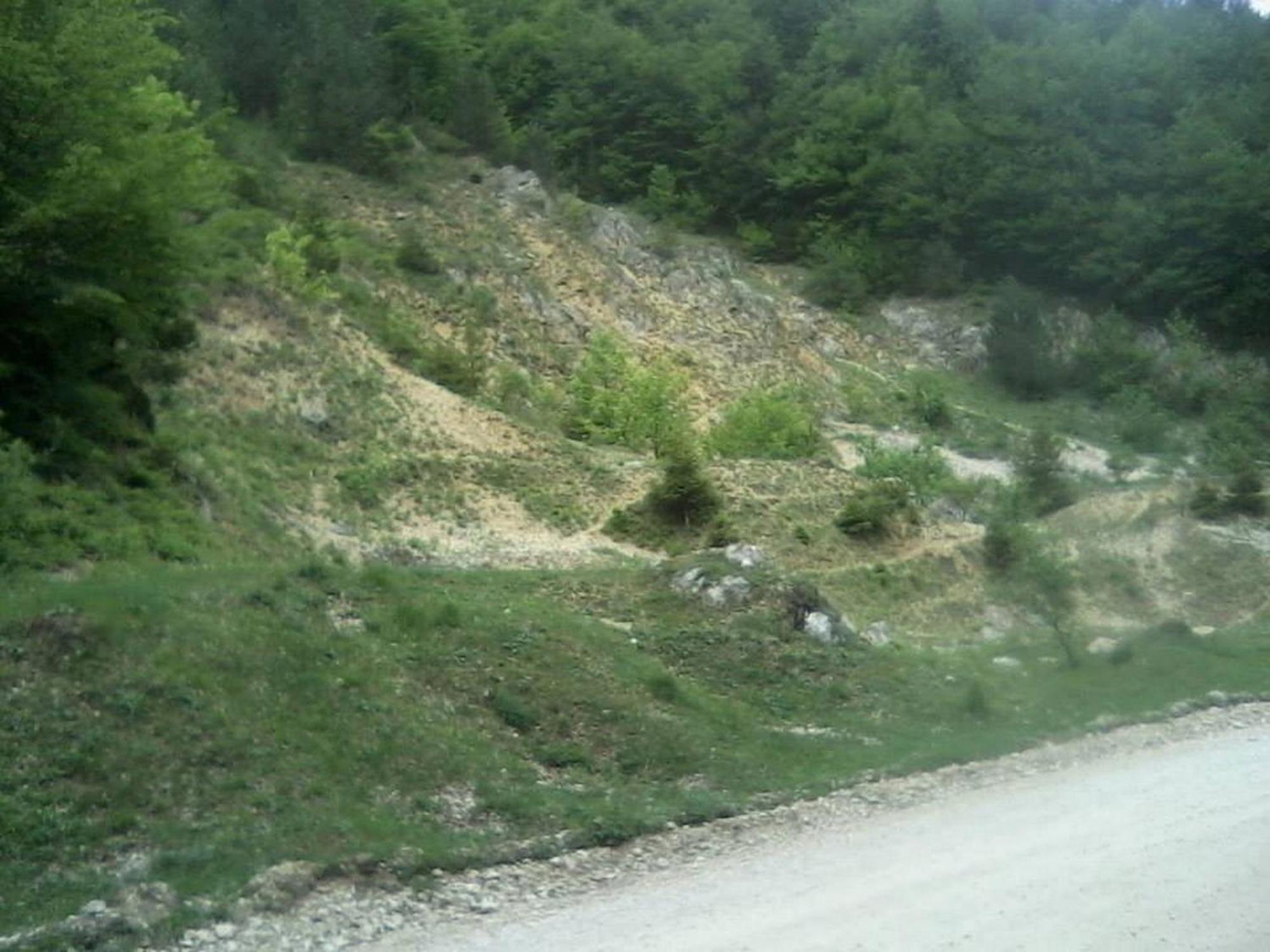 Pensiunea Irina 3 Zărneşti Exterior foto