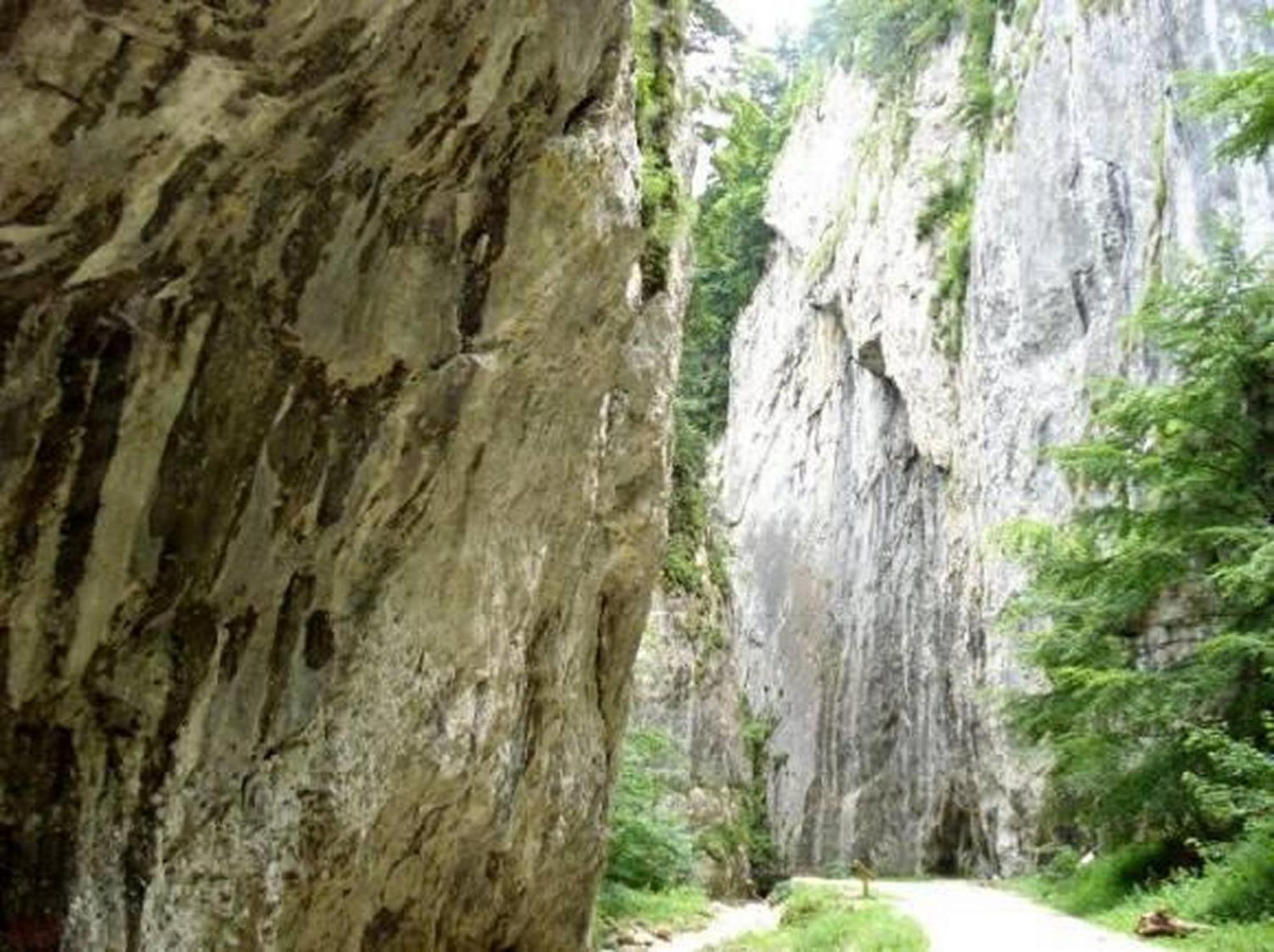Pensiunea Irina 3 Zărneşti Exterior foto