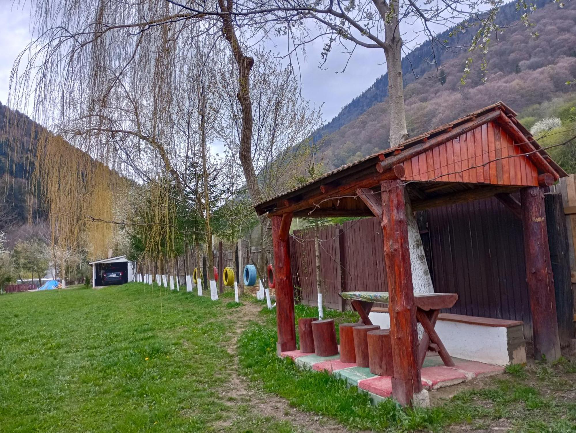 Pensiunea Irina 3 Zărneşti Exterior foto