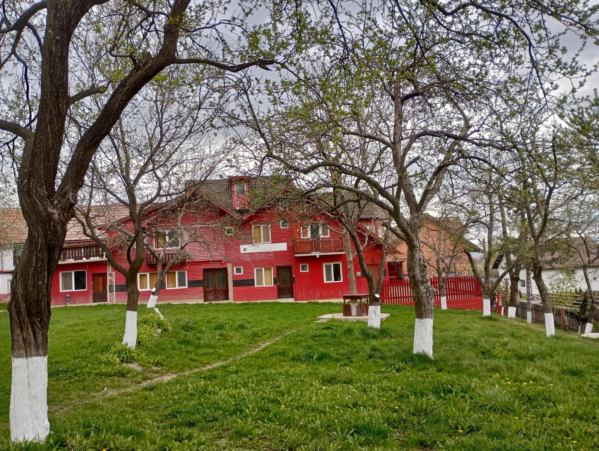 Pensiunea Irina 3 Zărneşti Exterior foto
