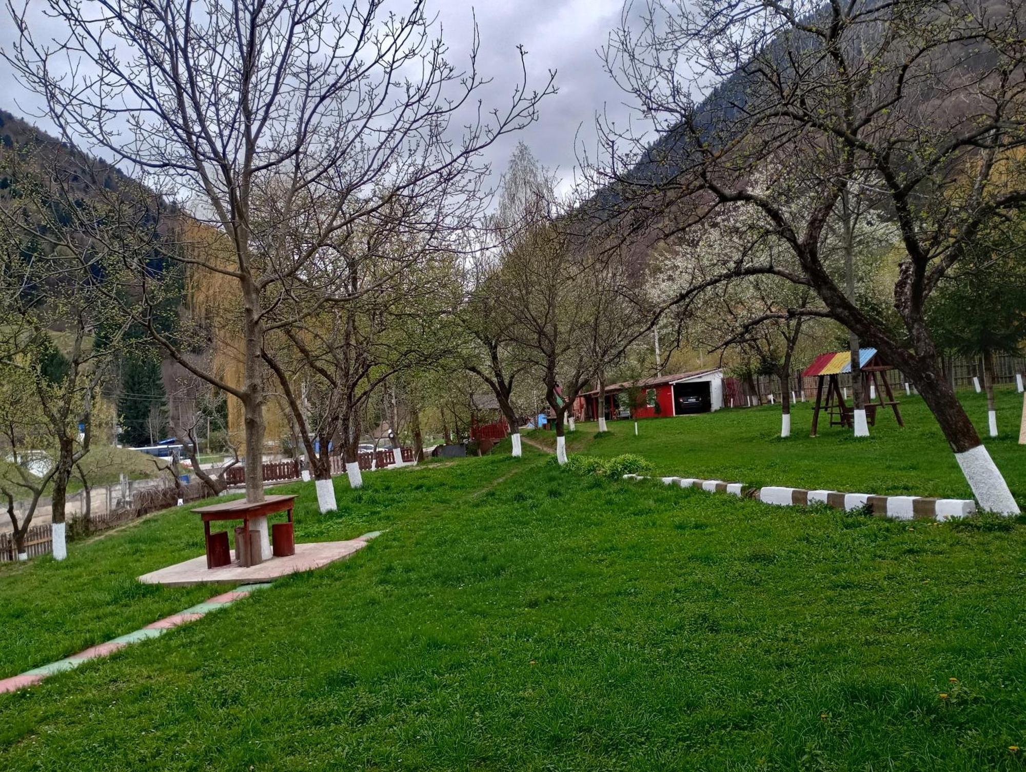 Pensiunea Irina 3 Zărneşti Exterior foto