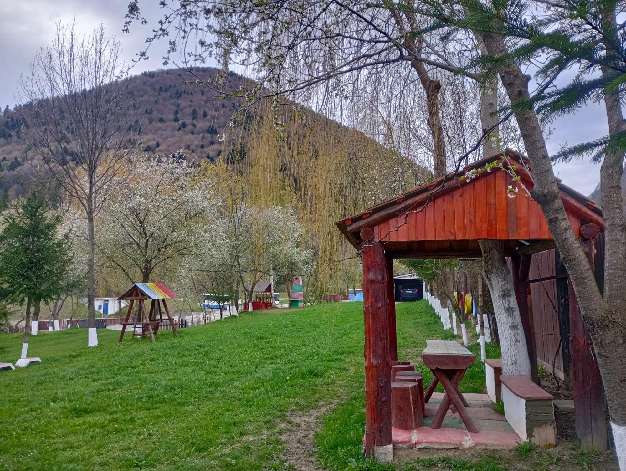 Pensiunea Irina 3 Zărneşti Exterior foto