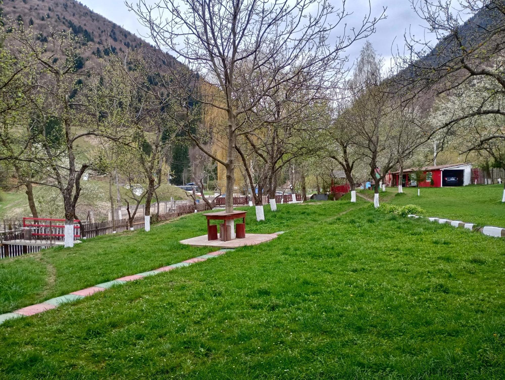 Pensiunea Irina 3 Zărneşti Exterior foto